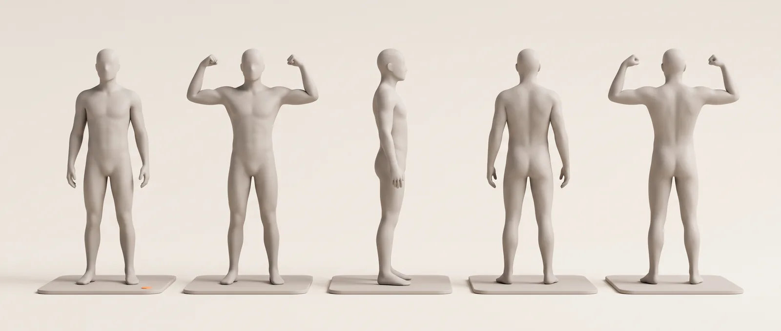 Five clay mannequins in a row showing the standard progress photo poses: front relaxed, front flexed, right side, back relaxed and back flexed